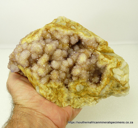 Light amethyst cactus quartz crystals on matrix