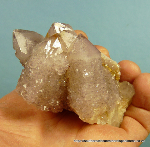 Light amethyst cactus quartz crystal group
