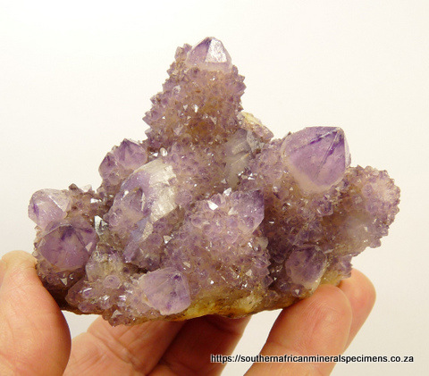 Amethyst cactus quartz crystal group