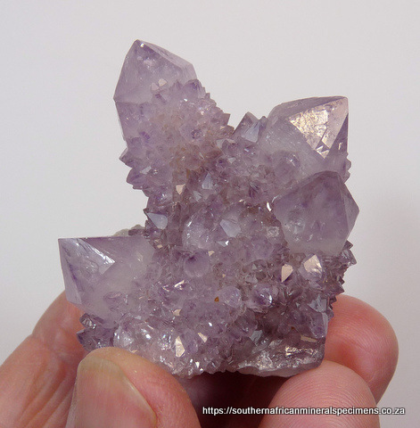 Light amethyst cactus quartz crystal group