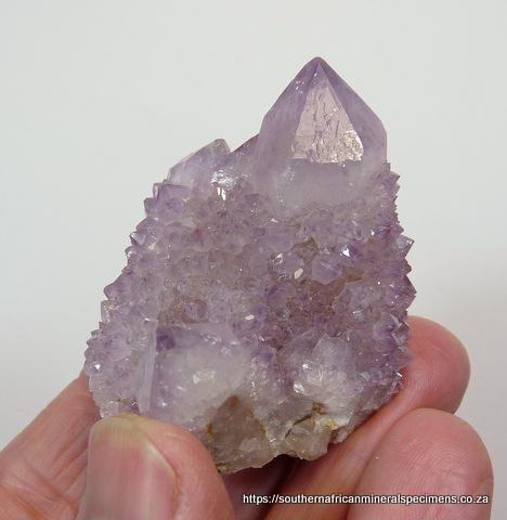 Light amethyst cactus quartz crystal group