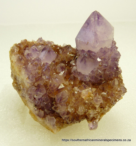 Semi-transparent amethyst cactus quartz crystals on matrix