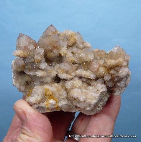 Cactus quartz crystals on matrix