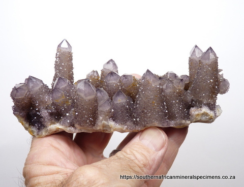 Smoky / amethyst cactus quartz specimen