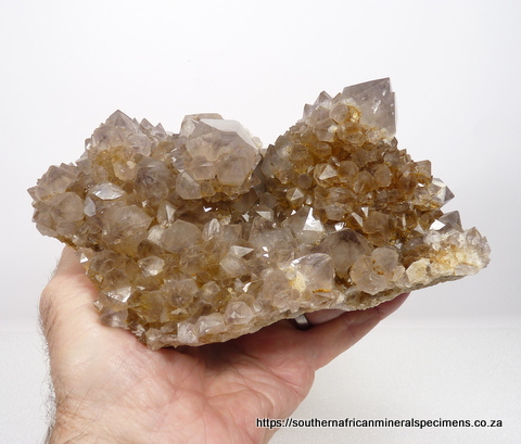 Light smoky cactus quartz specimen