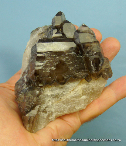 Smoky quartz crystals on milky quartz
