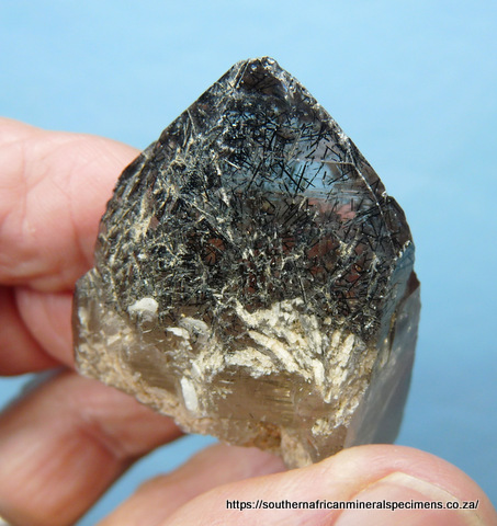 Smoky quartz crystal with prolific schorl inclusions