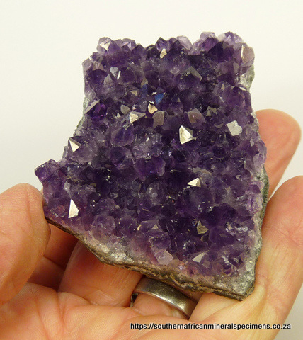 Drusy plate of amethyst quartz crystals