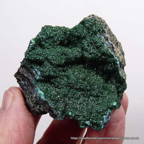 Malachite on a conglomorate matrix, including shattuckite
