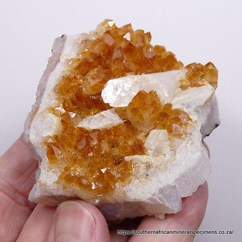 'Citrine' quartz crystals on matrix