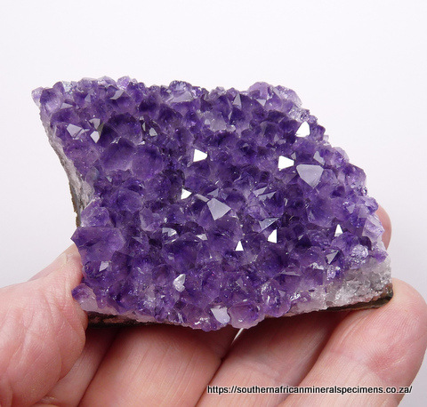 Drusy amethyst quartz crystals on matrix