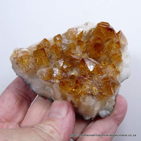 'Citrine' quartz crystals on quartz + basalt matrix