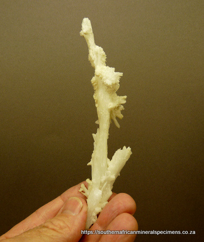 Slender, delicate aragonite specimen