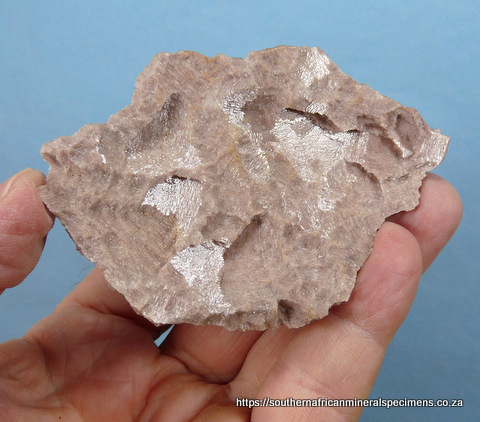 Dolomite cast with one side covered with minute crystals
