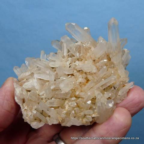 Quartz crystals on quartz matrix - Worcester mountains