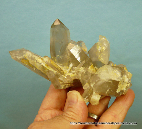Light smoky quartz crystal group, with most having phantoms.